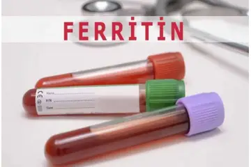 Kanda Ferritin Eksikliği Belirtileri ve Tedavisi