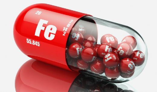 Ferritin İçeren Besinler Nelerdir?