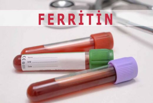Kanda Ferritin Eksikliği Belirtileri ve Tedavisi